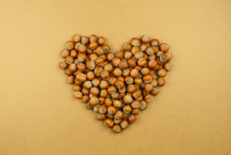 خرید فندق بو داده  + قیمت فروش استثنایی